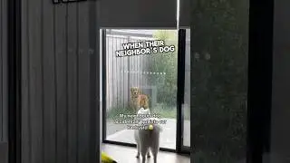 They found their neighbors dog in their yard😂 #shorts