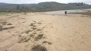Walk along Sandyhills Beach, nr Colvend, Scotland