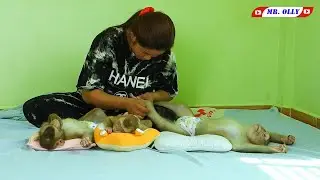 Mom Grooming Baby Kako Luna And Olly Sleep Routine
