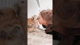 World Mental Health Day | Pet Lovers | Cute Animal Videos | Pet Health | Mental Health Awareness