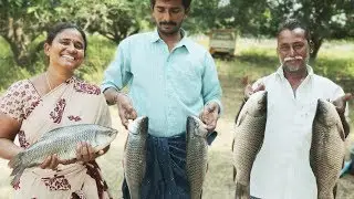 Andhra Fish Curry || How to Make Fish Curry || Andhra Chepala Pulusu || Daddychef