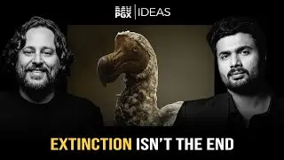 How Far Can De-Extinction Really Go?