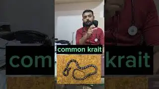 Neurotoxic Snake and Haemotoxic Snake