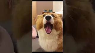 Million - View Clip on China's Tiktok ( p58 ) | N Channel | #shorts #funny #1996gaming