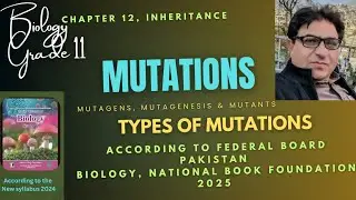 Mutations | Types of Mutations | Harmful & Useful Aspects of Mutations | Biology Grade 11 2024
