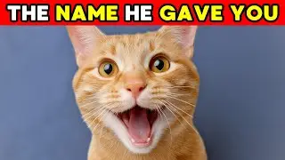 Your Cat Gave You a SECRET NAME &mdash; Find Out How He Recognizes You!