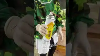 BEE AMOR Formic Acid Aerosol for bees #Beekeeping #Varroa mite control # Tropilaelaps mites control