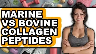 Marine vs Bovine Collagen Peptides - Full Comparison