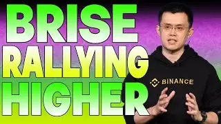 BRISE RALLYING HIGHER?🔥 | BITGERT (BRISE) PRICE PREDICTION & NEWS 2023!