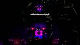 Bad Snacks @SummerCampFest 24 Illumination Woods Solshine Reverie #livemusic #festival #edm #bass