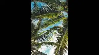 Dancehall x Afrobeats Type Beat / Steel Drum Beat / Steel Pan Beat 'Aqua' (Prod. Brown Sugar)