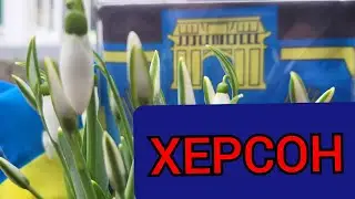 ХЕРСОН  12.02.24  МОЇ ВРАЖЕННЯ ВІД ПОЇЗДКИ