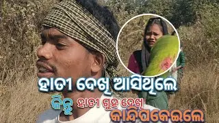 ହାତୀ ଦେଖି ଯିବା ର ଫଳ କଣ୍ ହେଲା ଦେଖନ୍ତୁ🤭😂🐘//Odia Vlog.#muvillagevlogger #travel #vlog #elephant 