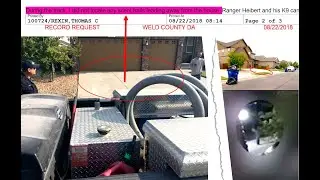 CHRIS WATTS: CRUCIAL CADAVER DOG EVIDENCE WE ALL MISSED