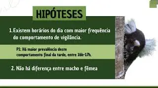 Padr&atilde;o di&aacute;rio de vigil&acirc;ncia em Callithrix jacchus de vida livre em ambiente de Caatinga