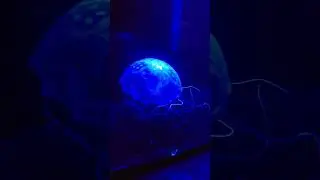 Aquatop Fluorescent Decor Jelly fish
