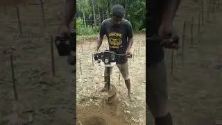 Preparation of planting holes for tea cultivation with a single operator holing augur / Hole digger
