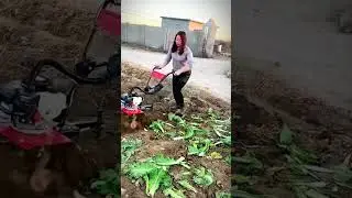 mini tractor for cultivating garden soil #shorts