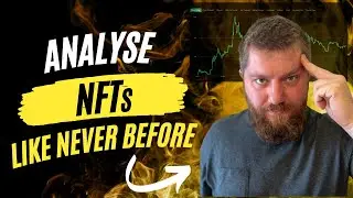 Analyse NFTs the NEW WAY! - (Holder Comparisons, Wallet Analysis, Historical Data and Much More!)