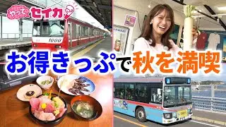 【やってセイカ！見逃し配信】井上清華キャスターが