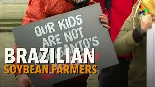 Monsanto&rsquo;s in Crisis?