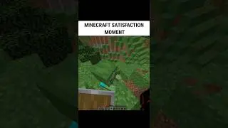 Minecraft Satisfaction Moment ☠️
