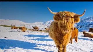 Winter in the English lake district. Music by Olafur Arnalds