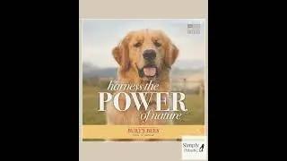 Natural Itch Soothing Spray with Honeysuckle | Best Anti-Itch Spray for Dogs with Itchy Skin | Cr...