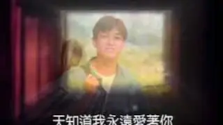 王中平 - 天知道我愛你