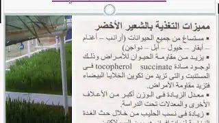 استخدام الشعير المستنبت | دورة تدريبية في التسمين  | حلقة 15