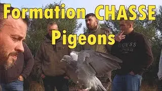 Formation à la chasse aux pigeons