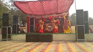 Amar kohinoor entertainment groups 9501209216