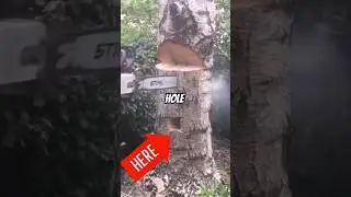 Эта крошечная дыра спасает бесчисленные жизни