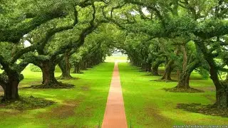 #IRELAND NATURAL BEAUTY most beautiful places in Ireland# amazing world#