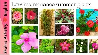 16 Low Maintenance Summer Plants That Grow Without Regular Watering |#gardening #lowcareplants