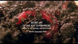 Secret life of the Soil Superheroes