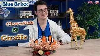 Brick built Animal Adventures with BlueBrixx &ndash; Giraffe & Clownfish Sets!