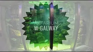 Galway Aquarium / Ireland /4k