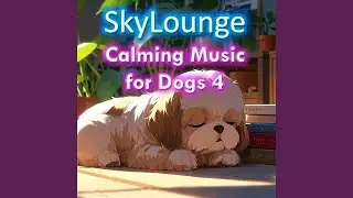 Gentle Sleep for Dogs