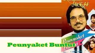 Ibnoe Arhas - Peunyaket Buntut (Dangdut Aceh)*