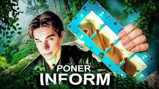 PONERINFORM! ОБЗОР НА ПЕРВЫЕ В МИРЕ МОДУЛЬНЫЕ МУРАВЬИНЫЕ ФЕРМЫ ДЛЯ ПОНЕРИН! PONERINFORM🤯