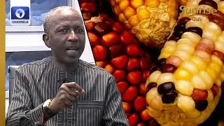 GMO: Sellers Of Seeds Will Control Your Ability To Feed, Wale Fatade Reviews Conversation + More