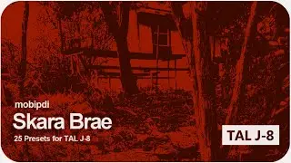 Skara Brae - 25 presets for TAL J-8 [FREE]