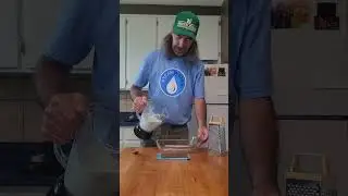 I Made The Most Expensive Mint Chocolate Chip Ice Cream with #feastables