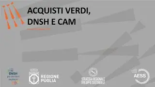 #6 ACQUISTI VERDI, DNSH E CAM