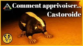 Comment apprivoiser un castor (castoroide) et où le trouver  | Ark survival evolved | [TUTO]