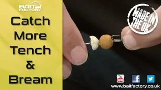 Tie a superb big carp and tench rig with Bait Factory mini boilies