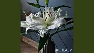 Mourning for Hope