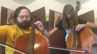 Despacito cello bass cover