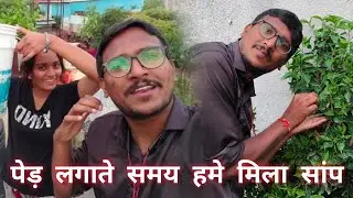 Ghar Mai Konsa Tree Lagaya 🌲|? Sakshi ke hatho 